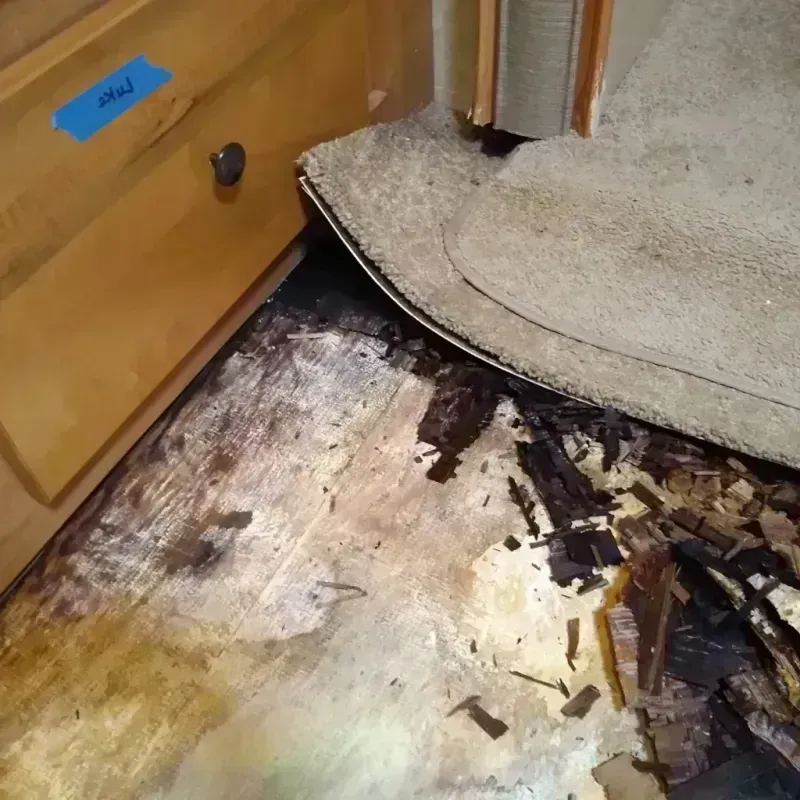 Wood Floor Water Damage in Bristol, PA